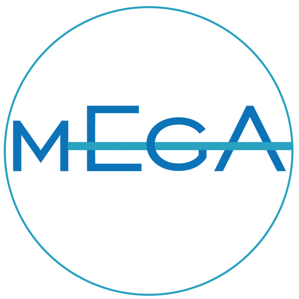 Mega Dijital Medya
