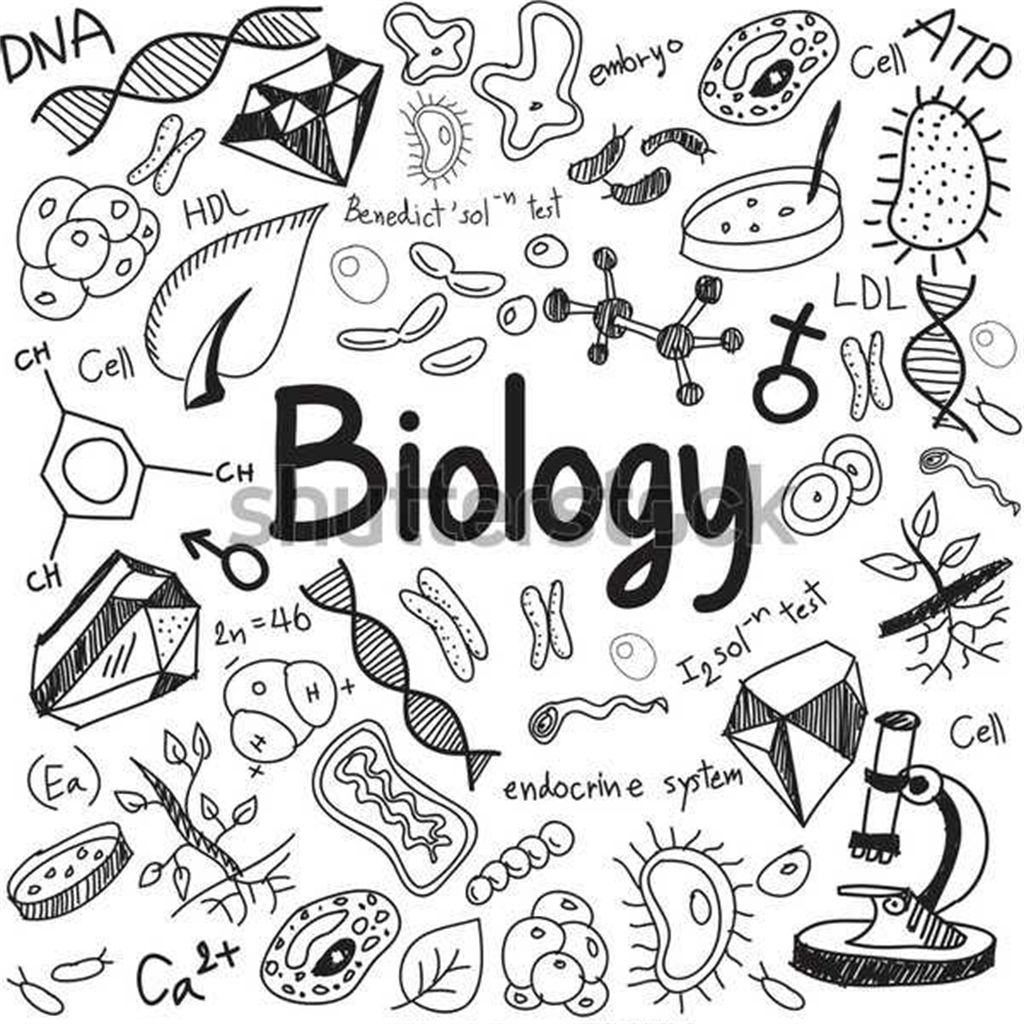 Biyoloji TYT ders notları