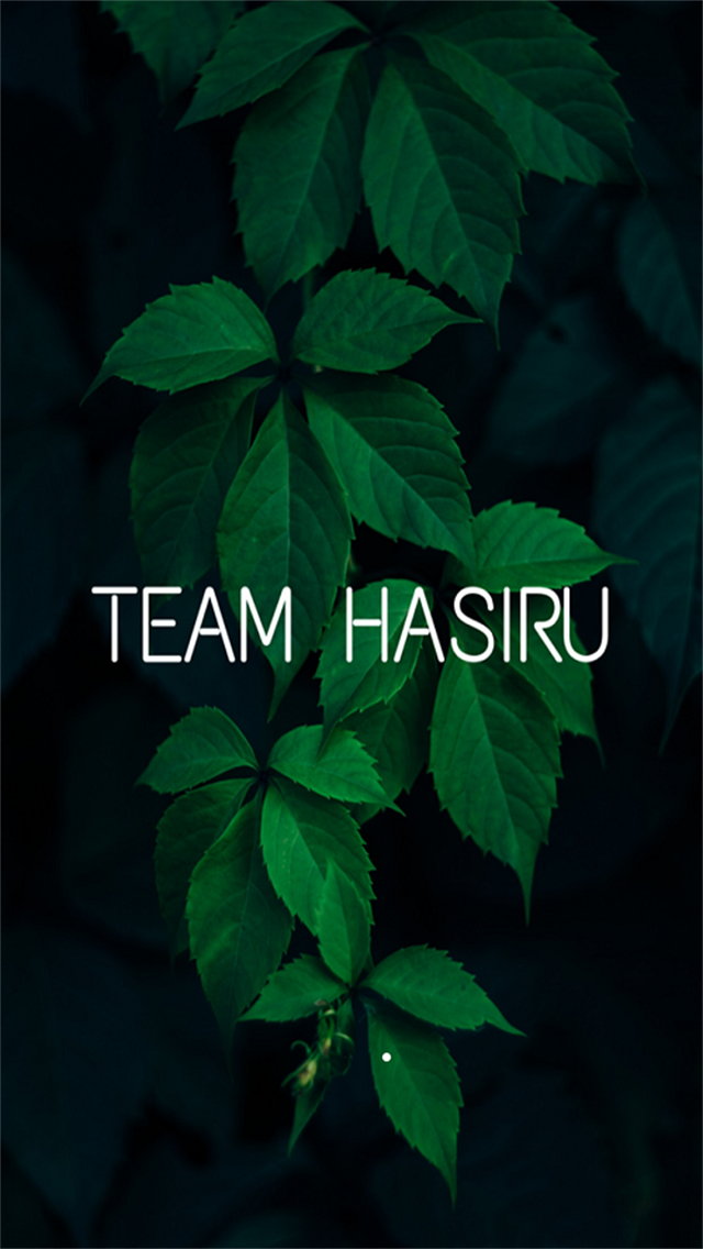 Team Hasiru