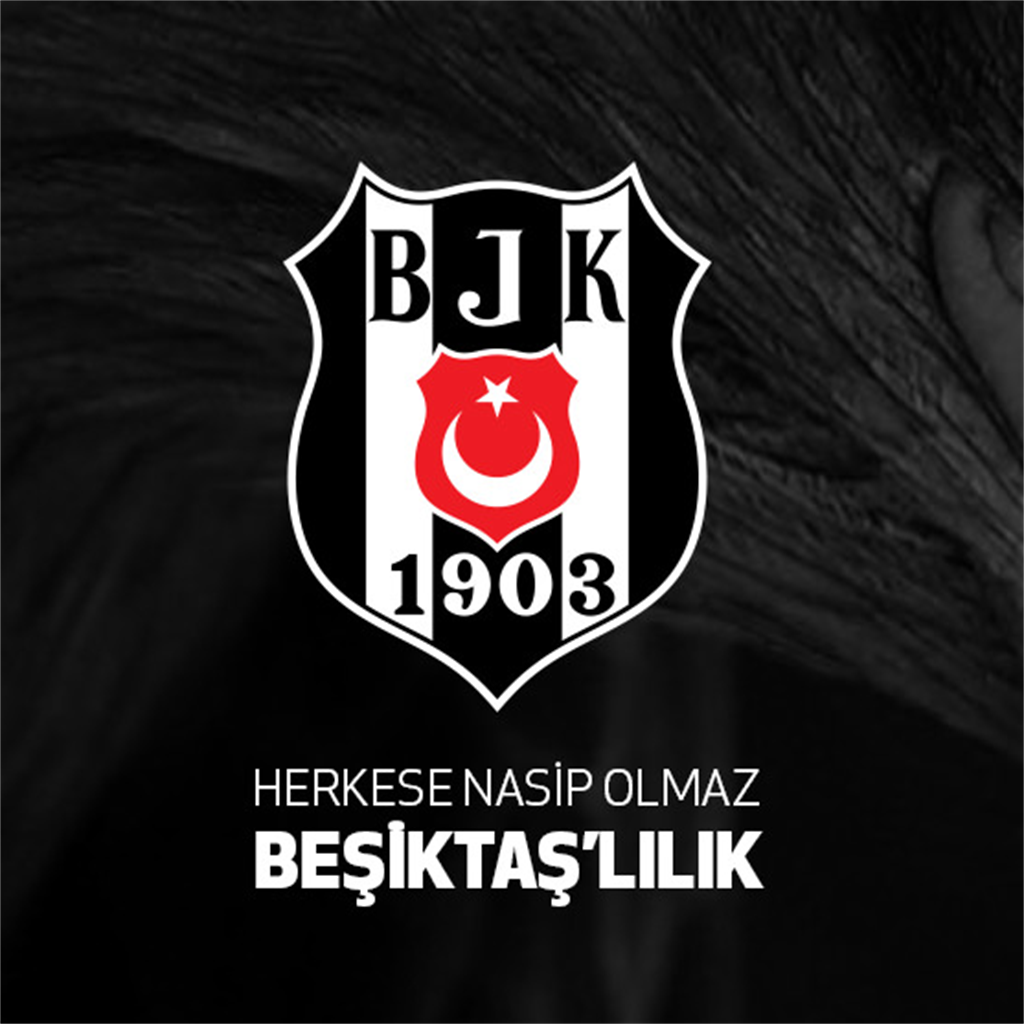 Beşiktaş Fun