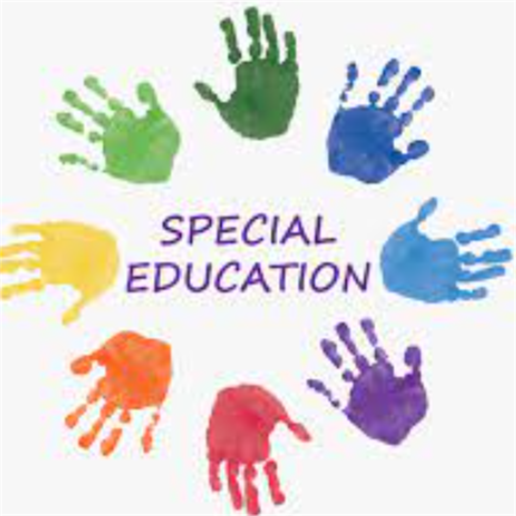 SPECIAL SCHOOLS FOR CP CHILD