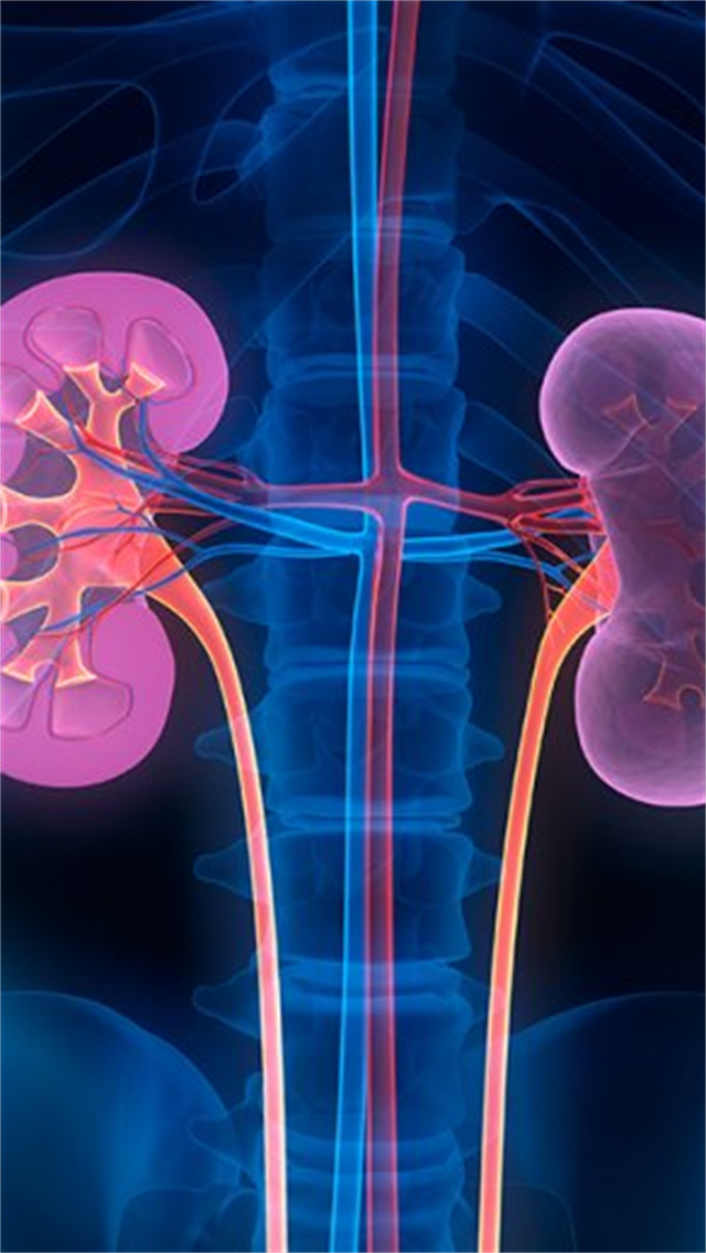 Kidney Health at Home