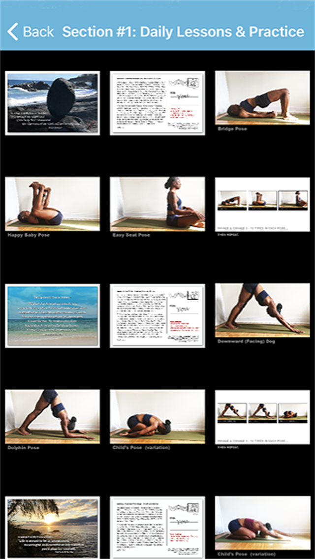 Basic Yoga Practice Guide