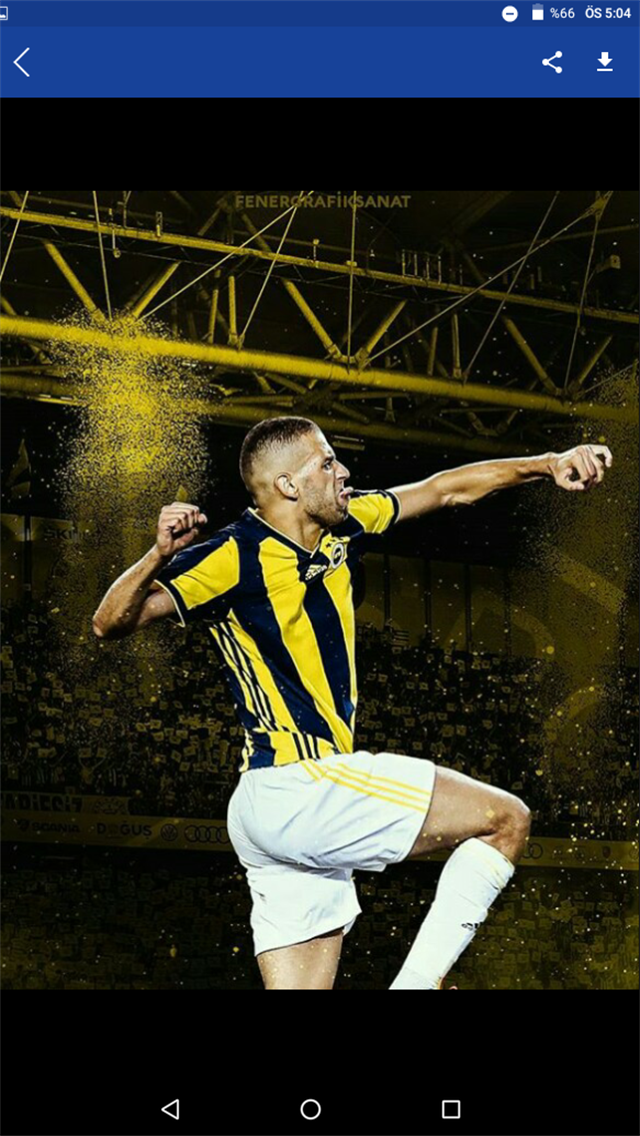 Fenerbahçe Taraftar Uygulaması